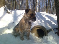 /album/fotogalerie-uvodni-stranka/fotografie0019-jpg1/