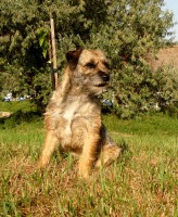 /album/fotogalerie-uvodni-stranka/kiki3-jpg/